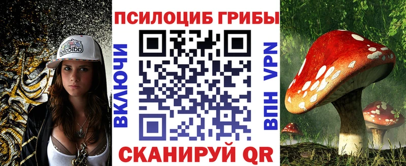 Галлюциногенные грибы мухоморы  Купить закладки  Никольск 
