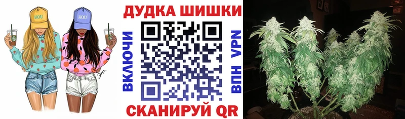 Купить закладки  Никольск  МАРИХУАНА ГИДРОПОН 